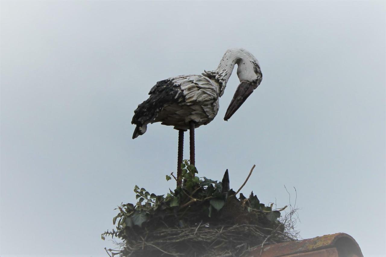 Storchennest Appartamento Pleinfeld